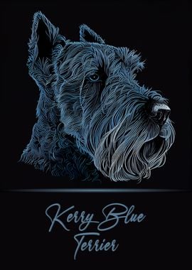 Elegant Kerry Blue Terrier