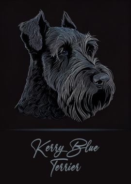 Kerry Blue Terrier