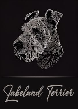 Lakeland Terrier