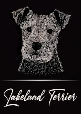 Lakeland Terrier Portrait