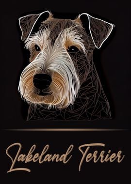 Lakeland Terrier