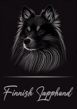 Finnish Lapphund