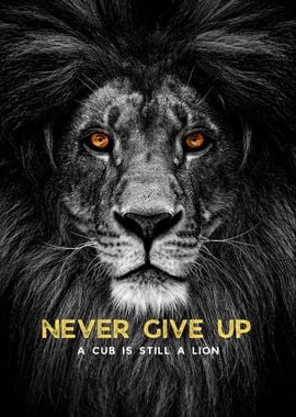 Lion Quote Never Give Up 