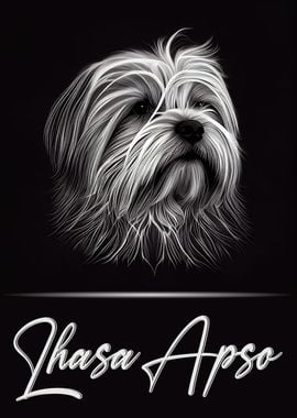 Adorable Lhasa Apso