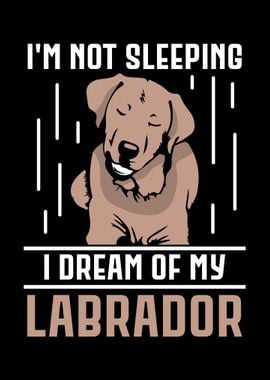 Labrador