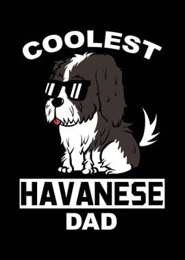 Havanese Dad 