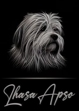 Lhasa Apso