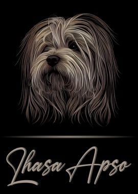 Elegant Lhasa Apso