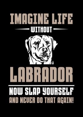 Labrador