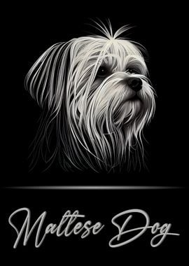 Maltese Dog Portrait