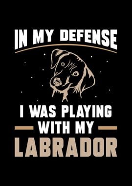 Labrador