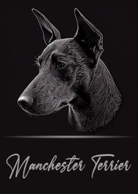 Manchester Terrier