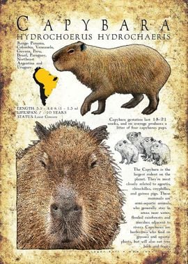 Trendy Capybara Poster