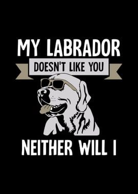 Labrador