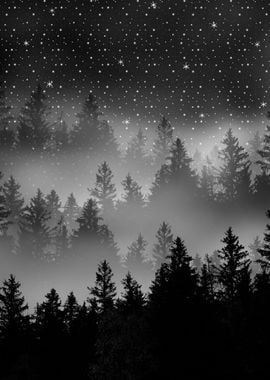 Black White Forest Galaxy 