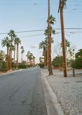 Palm Springs Film Photo