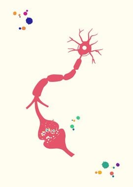 Neuron and Receptor