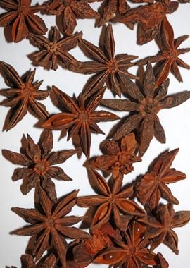 Star anise fruit close up