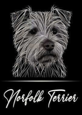 Norfolk Terrier