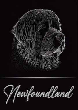 Elegant Newfoundland