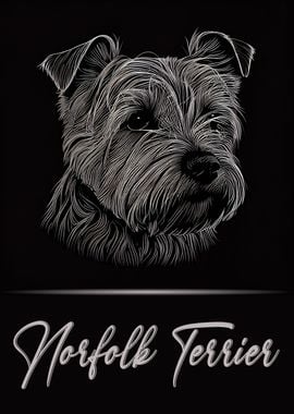 Adorable Norfolk Terrier