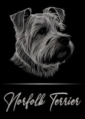 Norfolk Terrier