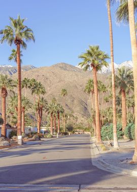 Palm Springs California