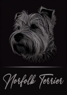 Elegant Norfolk Terrier