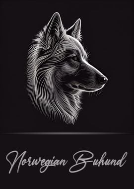 Norwegian Buhund Portrait