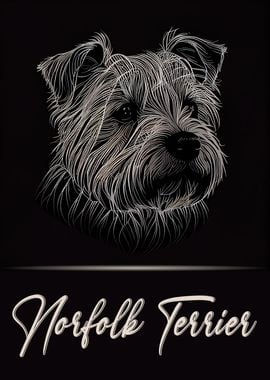 Norfolk Terrier Portrait