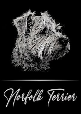 Norfolk Terrier Portrait