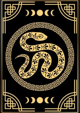 Snake Chinese Zodiac Sign