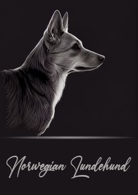 Norwegian Lundehund