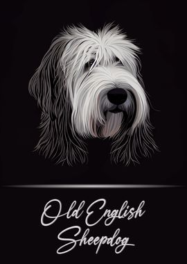 Old English Sheepdog