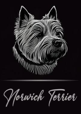 Norwich Terrier Portrait