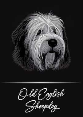 Old English Sheepdog