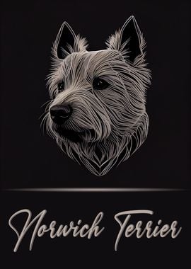 Cute Norwich Terrier