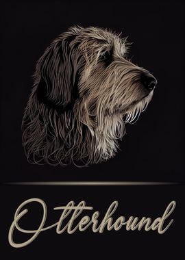 Otterhound Portrait