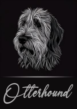 Adorable Otterhound