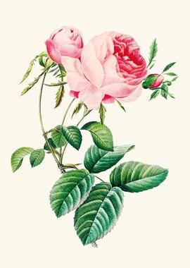 Vintage Flowers Art