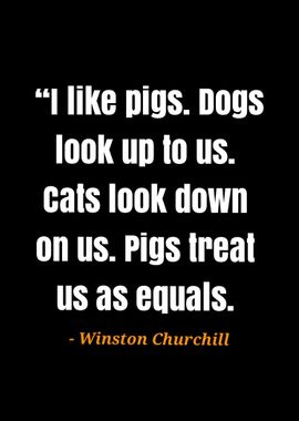 quote Winston Churchill 