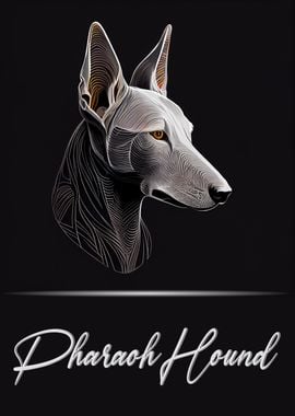 Pharaoh Hound