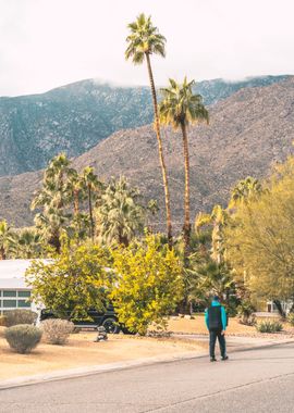 Palm Springs Street Photo