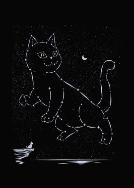 Cat Constellation