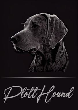 Plott Hound