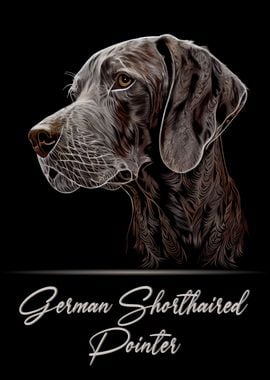 German Shorthaired Pointer