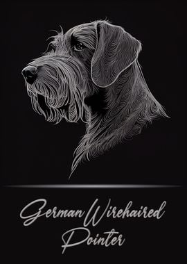 German Wirehaired Pointer