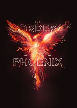 The Order of the Phoenix