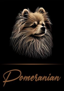 Pomeranian