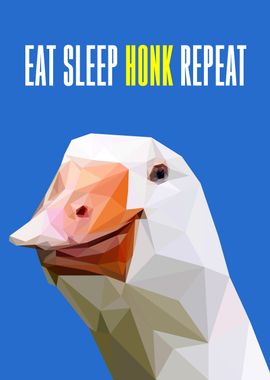 eat sleep honk repeat